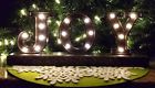 605393291112 Santas Forest 29111 Joy