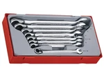 Teng Metric Ratchet Combination Spanner Set, Piece TENTT6508R. Fixed Price $345.64.