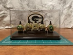 Green Bay Packers Championship Ring Set With Display Case Shipped. Fixed Price $124.99.