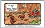 C.1910 Bretton Woods, Nh 2 Miles Mount Pleasant Bear Humor Postcard P85. Fixed Price $19.95.